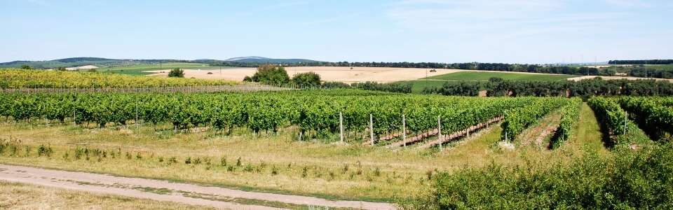 Winery at Stará Hora in Hlohovec