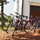 bicycle rental